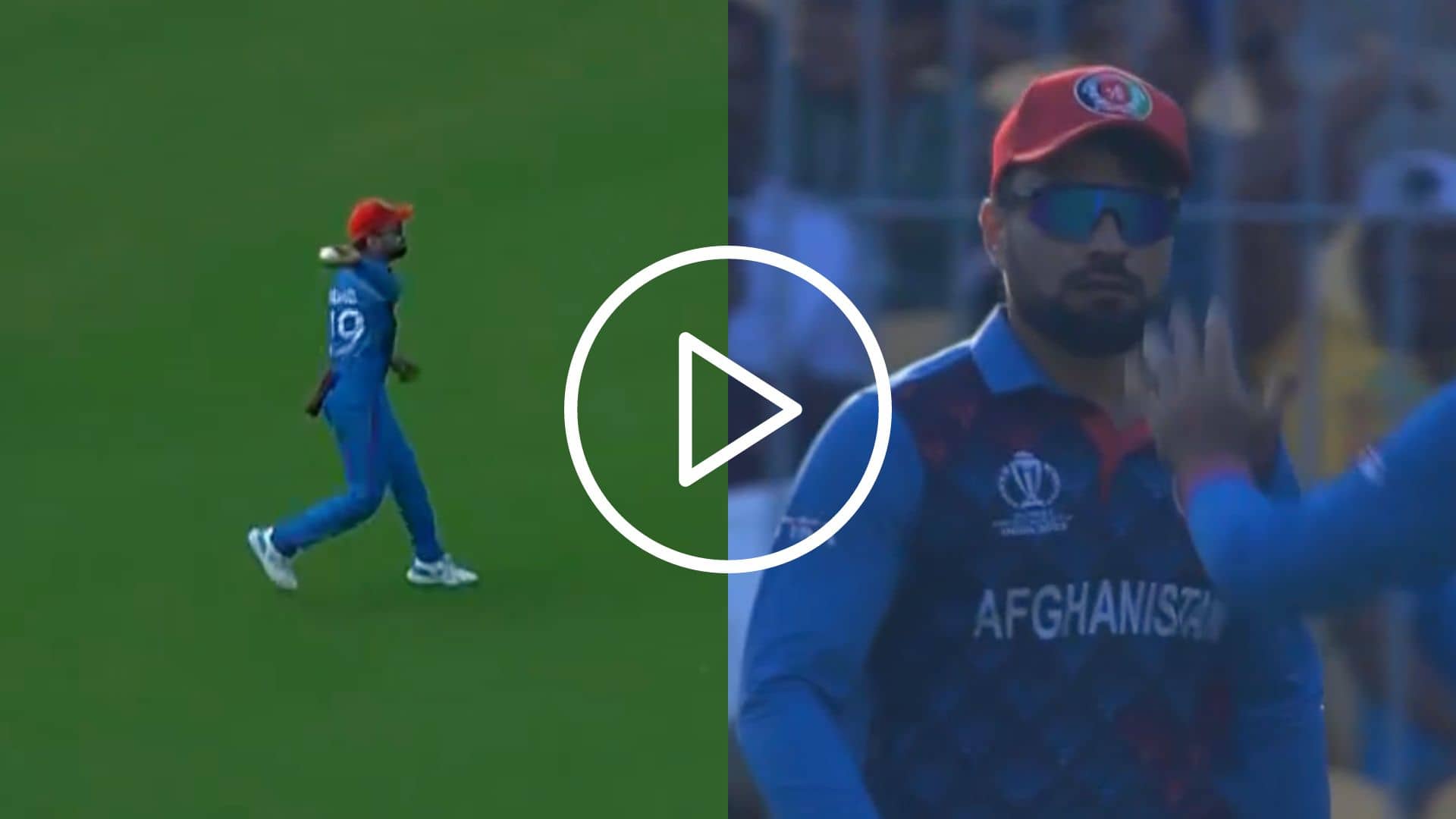 [Watch] Rashid Khan Celebrates Aggressively; Throws The Ball After Taking A Skier